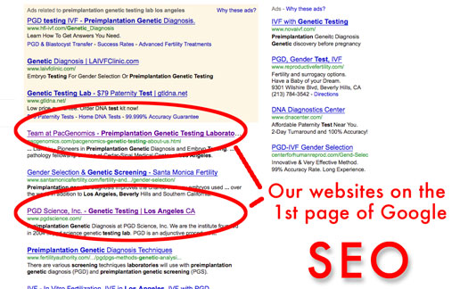 Creative365 Google search engine optimization pacgenomics