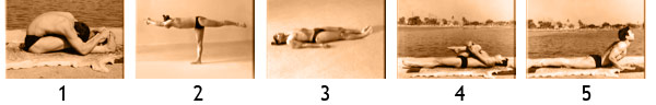 Bikram 26 postures