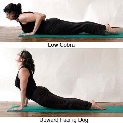 yoga postures cobra pose