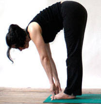 Yoga Postures: Uttanasana Flat Back Pose