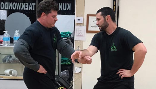 panther-martial-arts-center-camarillo-ventura-kung-fu