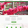 Website for a company specializing in growing of large trees, oaks, vines and shrubs