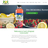 Website for a lemonade company